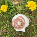 6mm peach moonstone elastic bracelet thegreencrystal