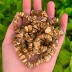natural Brown Jasper Stone Picture Jasper Chip Bracelet thegreencrystal