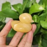 Quartz Crystal Duck thegreencrystal