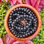 shungite bracelet mens shungite bracelet