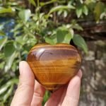 Tigers Eye Heart
