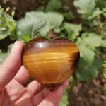 Tigers Eye Heart