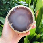 enhydro agate enhydro agates enhydro agate for sale