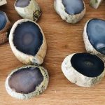 enhydro agate enhydro agates enhydro agate for sale