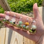 mini mushroom crystals crystal mushroom crystal mushrooms