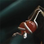 agate silver snake earrings