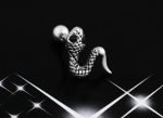 snake titanium stud earrings