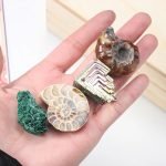 Healing Crystal Irregular Ore Minerals Specimen Set Science Collection Home Decoration Gift