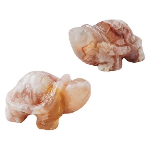 sakura agate turtle