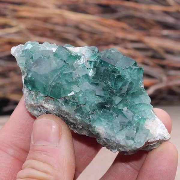 Raw Green Fluorite • The Green Crystal